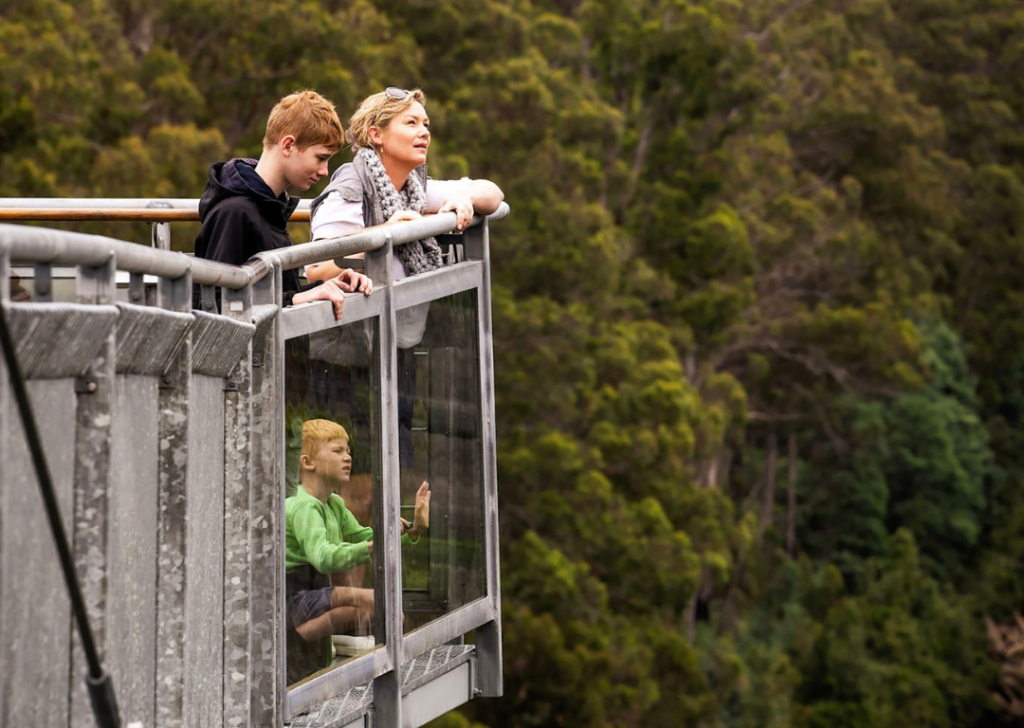 Tahune Airwalk with kids